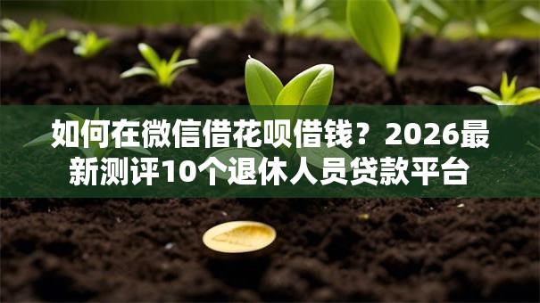 如何在微信借花呗借钱？2026最新测评10个退休人员贷款平台