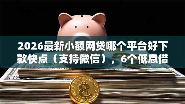 2026最新小额网贷哪个平台好下款快点(支持微信),6个低息借款平台无私分享 2026最新小额网贷哪个平台好下款快点(支持微信),6个低息借款平台无私分享
