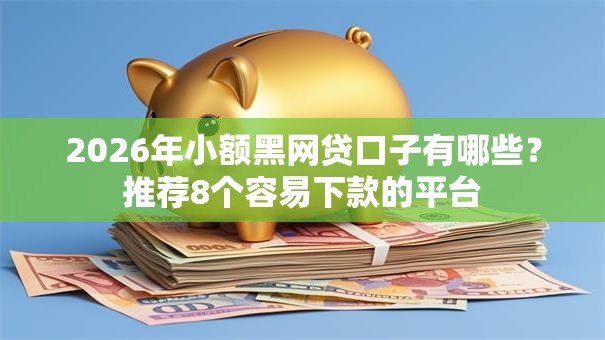2026年小额黑网贷口子有哪些？推荐8个容易下款的平台