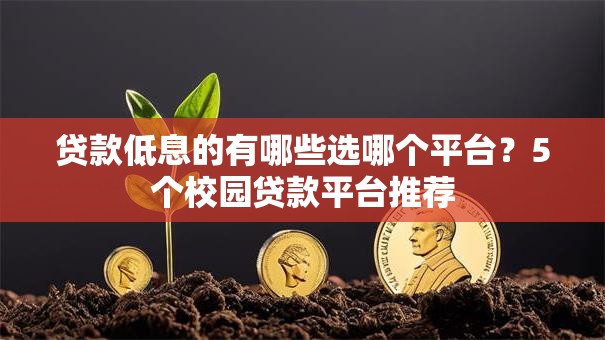 贷款低息的有哪些选哪个平台？5个校园贷款平台推荐