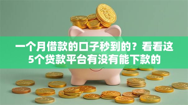 一个月借款的口子秒到的？看看这5个贷款平台有没有能下款的