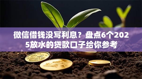 微信借钱没写利息？盘点6个2025放水的贷款口子给你参考