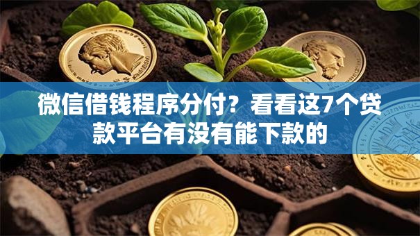 微信借钱程序分付？看看这7个贷款平台有没有能下款的