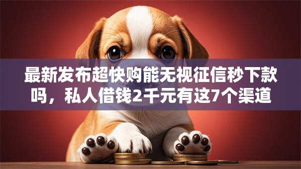 最新发布超快购能无视征信秒下款吗，私人借钱2千元有这7个渠道