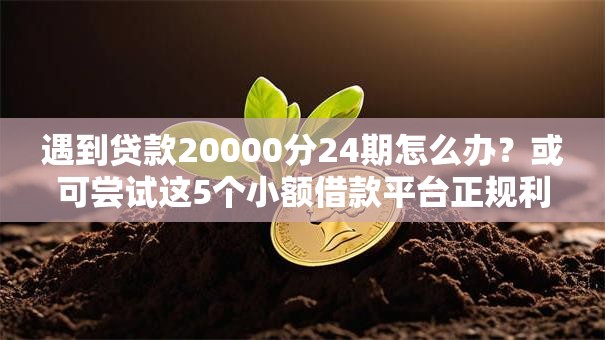 遇到贷款20000分24期怎么办？或可尝试这5个小额借款平台正规利息低