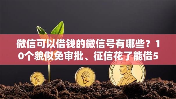 微信可以借钱的微信号有哪些？10个貌似免审批、征信花了能借500到1000的口子合集