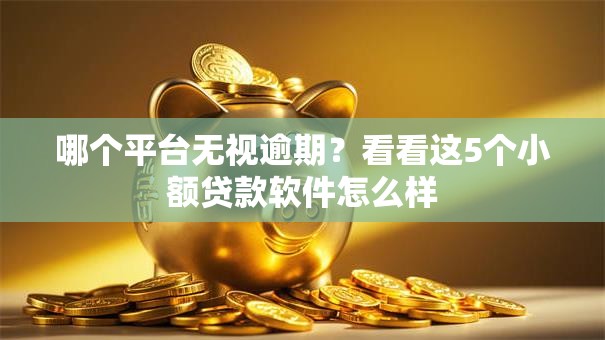 哪个平台无视逾期？看看这5个小额贷款软件怎么样