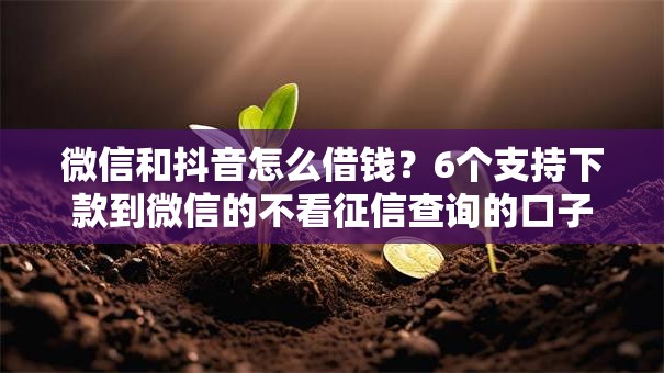 微信和抖音怎么借钱？6个支持下款到微信的不看征信查询的口子