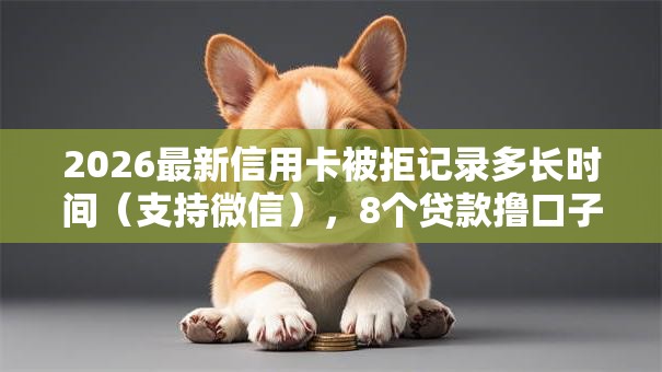2026最新信用卡被拒记录多长时间（支持微信），8个贷款撸口子无私分享