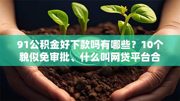 91公积金好下款吗有哪些？10个貌似免审批、什么叫网贷平台合集