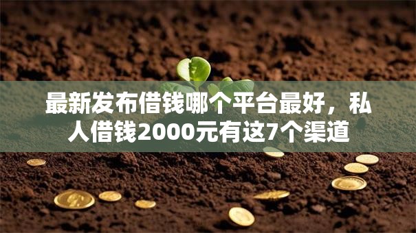 最新发布借钱哪个平台最好，私人借钱2000元有这7个渠道