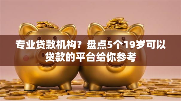 专业贷款机构？盘点5个19岁可以贷款的平台给你参考