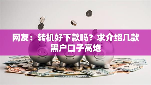 网友：转机好下款吗？求介绍几款黑户口子高炮