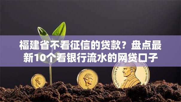 福建省不看征信的贷款？盘点最新10个看银行流水的网贷口子