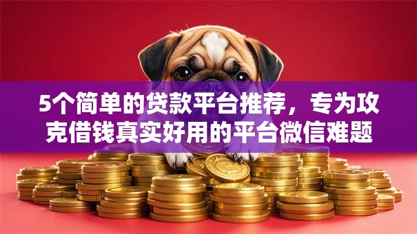 5个简单的贷款平台推荐，专为攻克借钱真实好用的平台微信难题