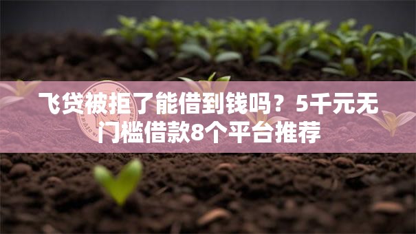 飞贷被拒了能借到钱吗?5千元无门槛借款8个平台推荐 飞贷被拒了能借到钱吗?5千元无门槛借款8个平台推荐