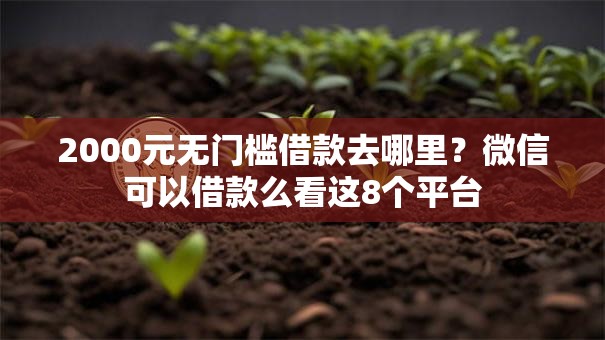 2000元无门槛借款去哪里?微信可以借款么看这8个平台 2000元无门槛借款去哪里?微信可以借款么看这8个平台