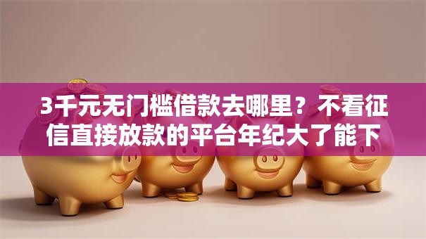 3千元无门槛借款去哪里？不看征信直接放款的平台年纪大了能下款吗看这8个平台