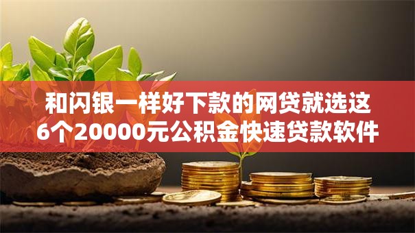 和闪银一样好下款的网贷就选这6个20000元公积金快速贷款软件