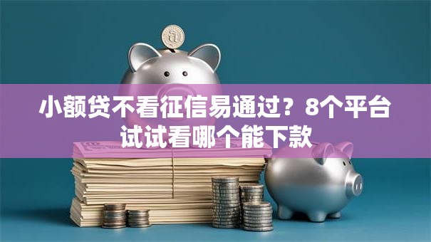 小额贷不看征信易通过？8个平台试试看哪个能下款