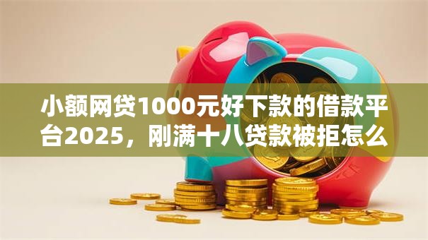 小额网贷1000元好下款的借款平台2025，刚满十八贷款被拒怎么办的6个平台介绍