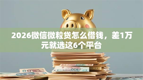 2026微信微粒贷怎么借钱,差1万元就选这6个平台 2026微信微粒贷怎么借钱,差1万元就选这6个平台
