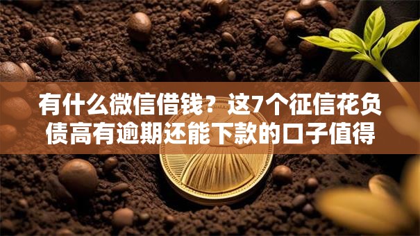 有什么微信借钱?这7个征信花负债高有逾期还能下款的口子值得一试 有什么微信借钱?这7个征信花负债高有逾期还能下款的口子值得一试