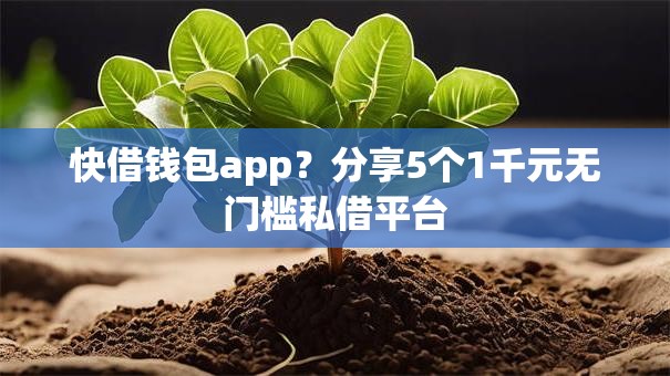 快借钱包app？分享5个1千元无门槛私借平台