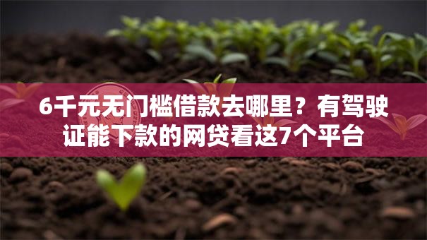 6千元无门槛借款去哪里？有驾驶证能下款的网贷看这7个平台