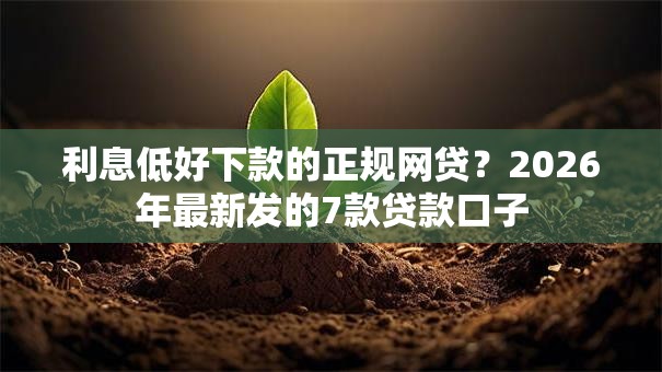 利息低好下款的正规网贷?2026年最新发的7款贷款口子 利息低好下款的正规网贷?2026年最新发的7款贷款口子