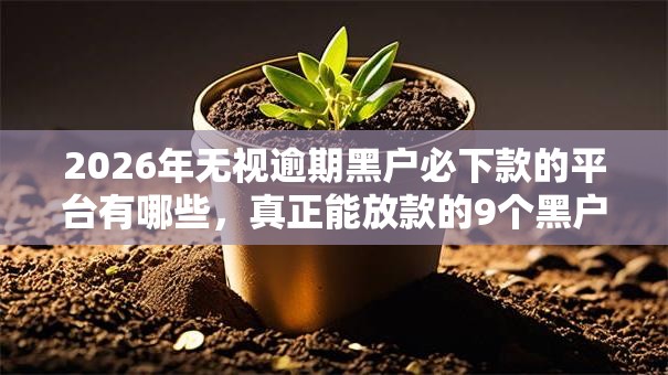 2026年无视逾期黑户必下款的平台有哪些，真正能放款的9个黑户快速下款的口子推荐