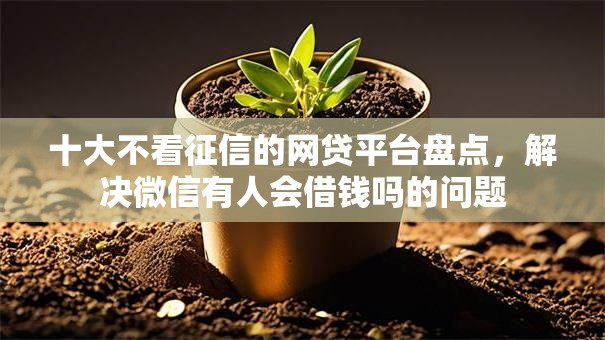 十大不看征信的网贷平台盘点，解决微信有人会借钱吗的问题