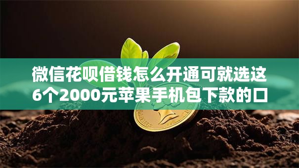 微信花呗借钱怎么开通可就选这6个2000元苹果手机包下款的口子