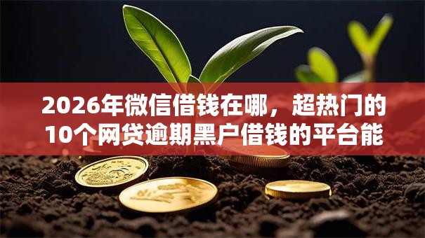 2026年微信借钱在哪，超热门的10个网贷逾期黑户借钱的平台能借推荐