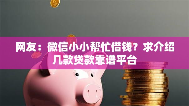 网友：微信小小帮忙借钱？求介绍几款贷款靠谱平台