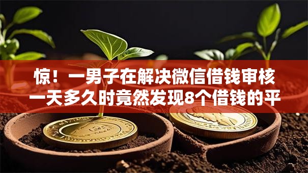 惊！一男子在解决微信借钱审核一天多久时竟然发现8个借钱的平台100%能借到18周岁，事后分享了出来