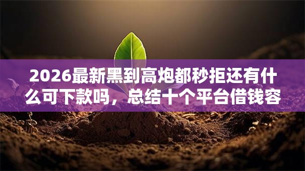 2026最新黑到高炮都秒拒还有什么可下款吗，总结十个平台借钱容易通过！