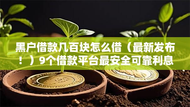 黑户借款几百块怎么借（最新发布！）9个借款平台最安全可靠利息低