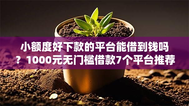小额度好下款的平台能借到钱吗？1000元无门槛借款7个平台推荐