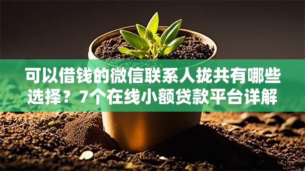 可以借钱的微信联系人拢共有哪些选择？7个在线小额贷款平台详解
