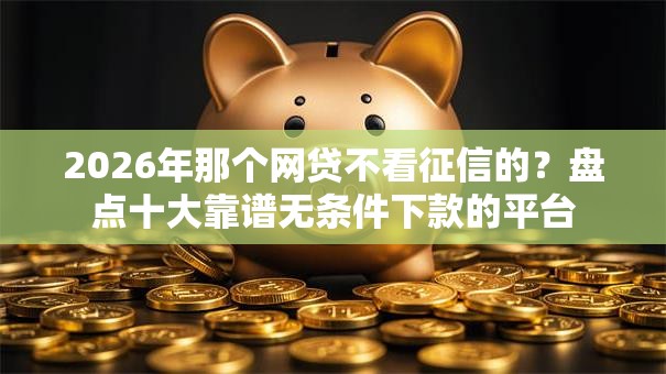 2026年那个网贷不看征信的？盘点十大靠谱无条件下款的平台