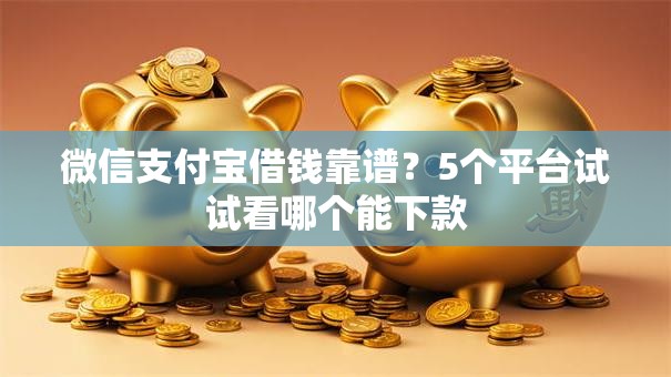 微信支付宝借钱靠谱？5个平台试试看哪个能下款