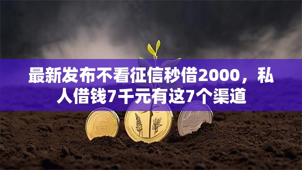 最新发布不看征信秒借2000,私人借钱7千元有这7个渠道 最新发布不看征信秒借2000,私人借钱7千元有这7个渠道