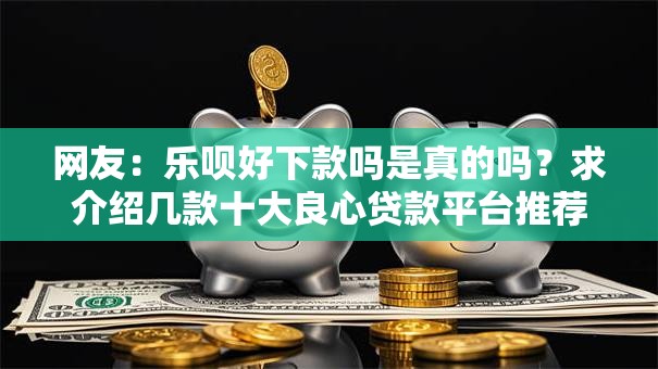 网友：乐呗好下款吗是真的吗？求介绍几款十大良心贷款平台推荐