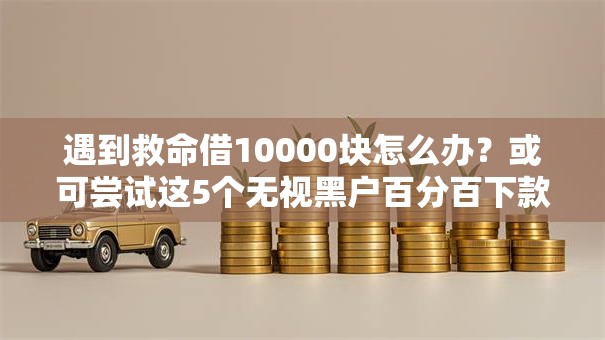 遇到救命借10000块怎么办？或可尝试这5个无视黑户百分百下款软件