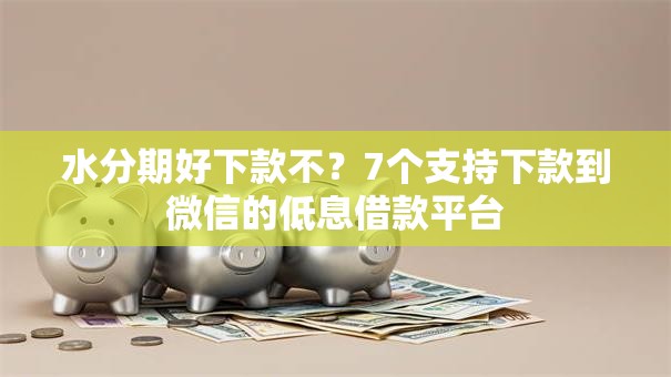 水分期好下款不?7个支持下款到微信的低息借款平台 水分期好下款不?7个支持下款到微信的低息借款平台