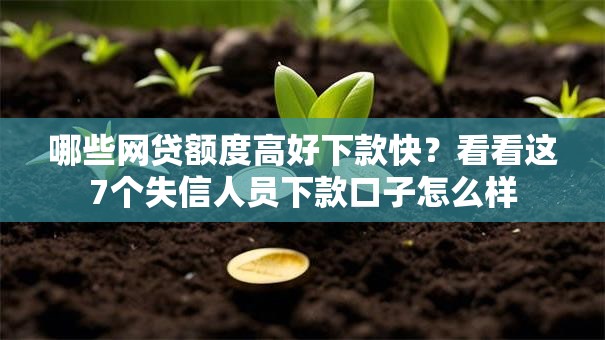 哪些网贷额度高好下款快？看看这7个失信人员下款口子怎么样