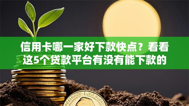 信用卡哪一家好下款快点?看看这5个贷款平台有没有能下款的 信用卡哪一家好下款快点?看看这5个贷款平台有没有能下款的