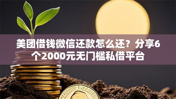 美团借钱微信还款怎么还？分享6个2000元无门槛私借平台