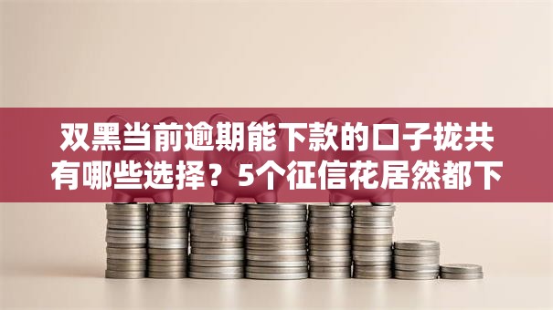 双黑当前逾期能下款的口子拢共有哪些选择？5个征信花居然都下款的口子详解